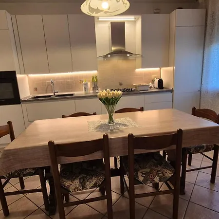 Apartment Meneghin House